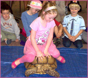 girl on a turtle